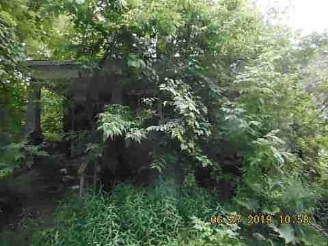 4696 Dickerson (5)_m.jpg